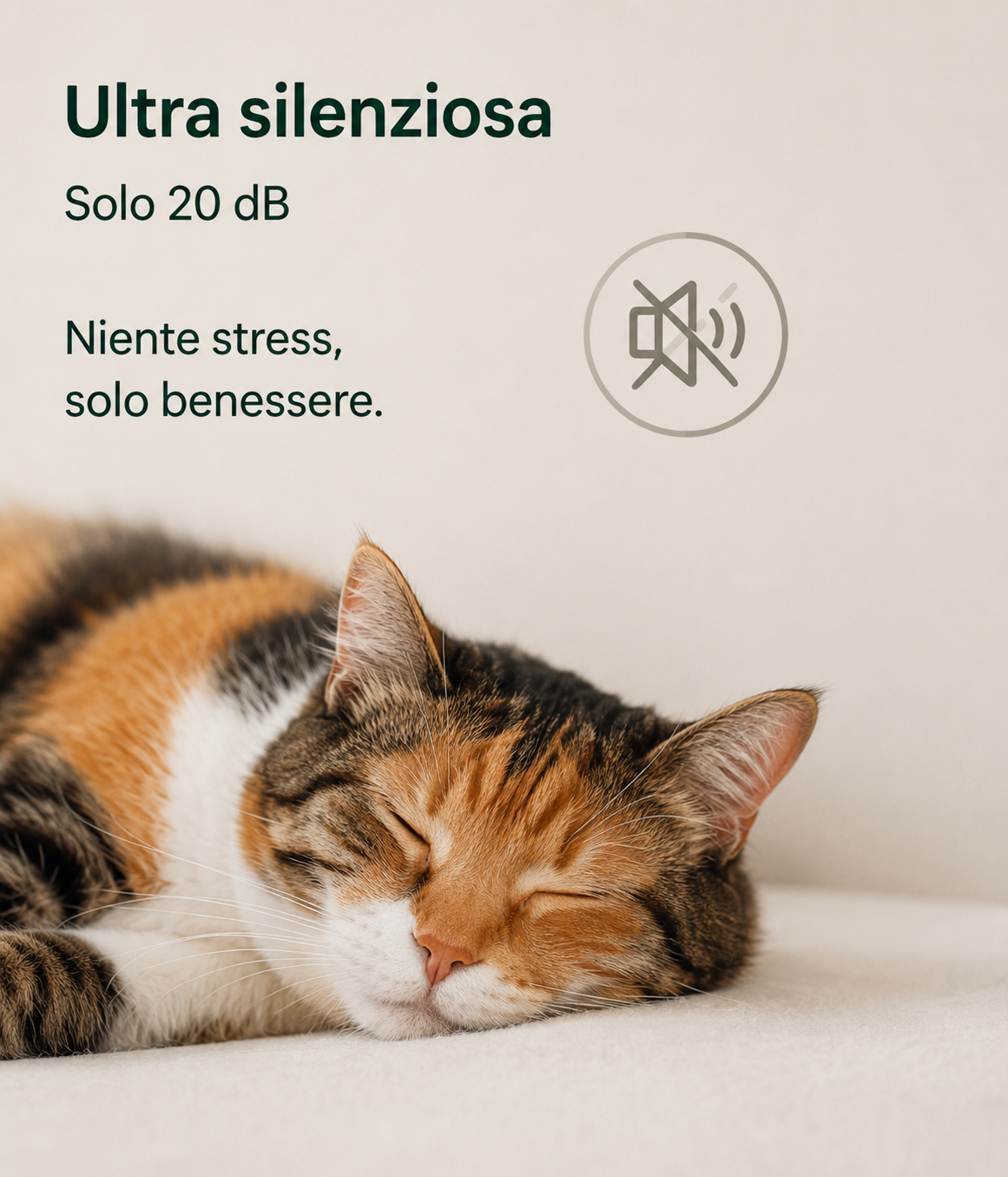 Fonte Felice™
